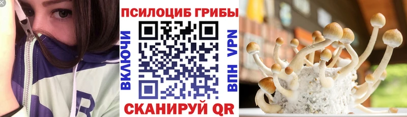 Купить закладки  Владикавказ  Псилоцибиновые грибы Psilocybe 